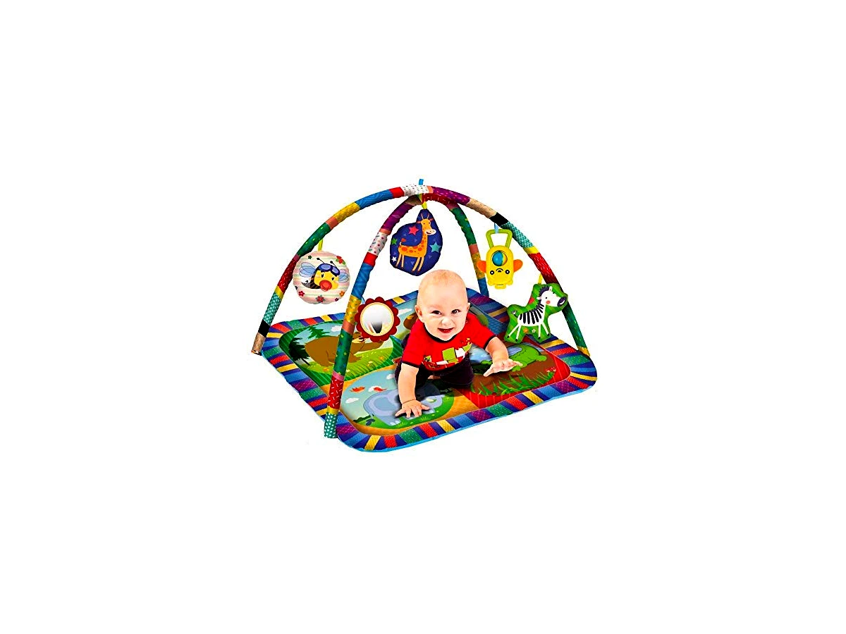 Tapete Centro De Atividades Para Bebês Com Aro - Zoop Toys, Multicor, ZP00179
